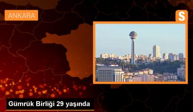 Gümrük Birliği 29 yaşında