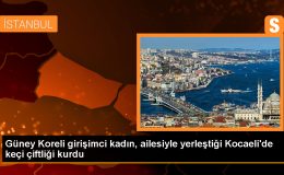 Güney Koreli Kadın Girişimci Kandıra’da Keçi Çiftliği Kurdu