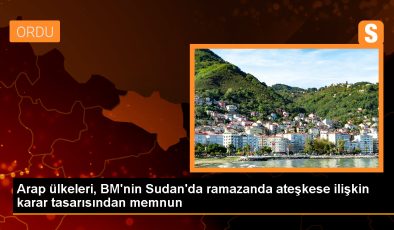 Arap Ülkeleri Sudan’da Ateşkes Kararını Memnuniyetle Karşıladı