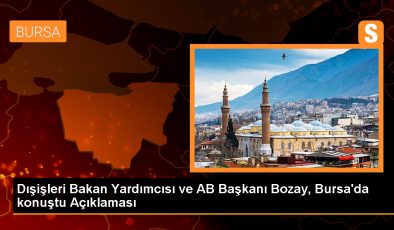 Dışişleri Bakan Yardımcısı Bozay: Türkiye, ekonomik ve siyasi mücadelede ilerleyecek