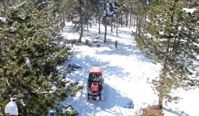 Kastamonu’da Orman Üretimi ve Hayvancılık Teşvikleriyle Artıyor