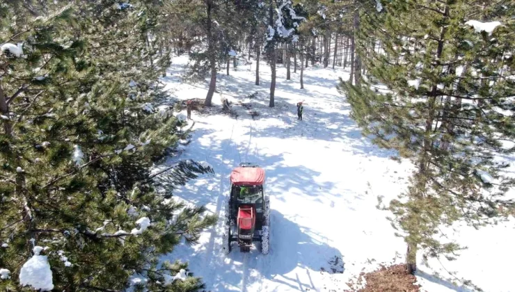 Kastamonu’da Orman Üretimi ve Hayvancılık Teşvikleriyle Artıyor