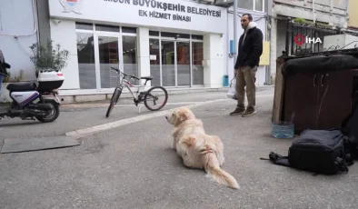 Köpeğin doktora havlaması sahibine 700 bin TL’ye patladı