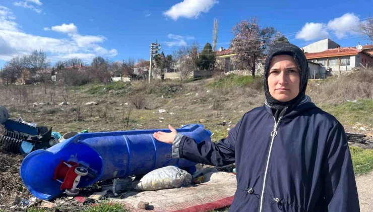 Başıboş köpekler ve çöp sorunu Eskişehir’de gündemde