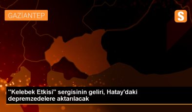 Kahramanmaraş Depreminin Yıkımına Sanatla Destek