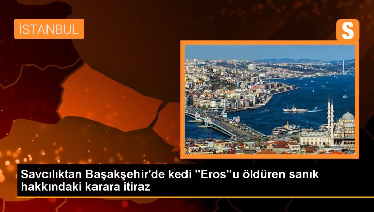 Başakşehir’de Kedi Öldüren Sanığın Cezasına İtiraz Edildi