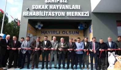 Çorum Belediyesi Hayvan Hastanesi Hizmete Açıldı