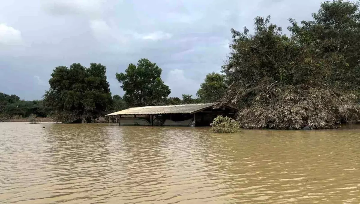 Tayland’da Sel Felaketi: 25 Ölü